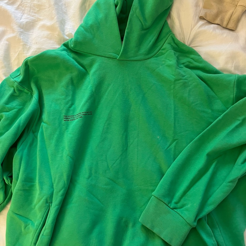 Classic Pangaia Hoodie